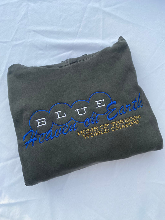 Blue heaven embroidered hoodie