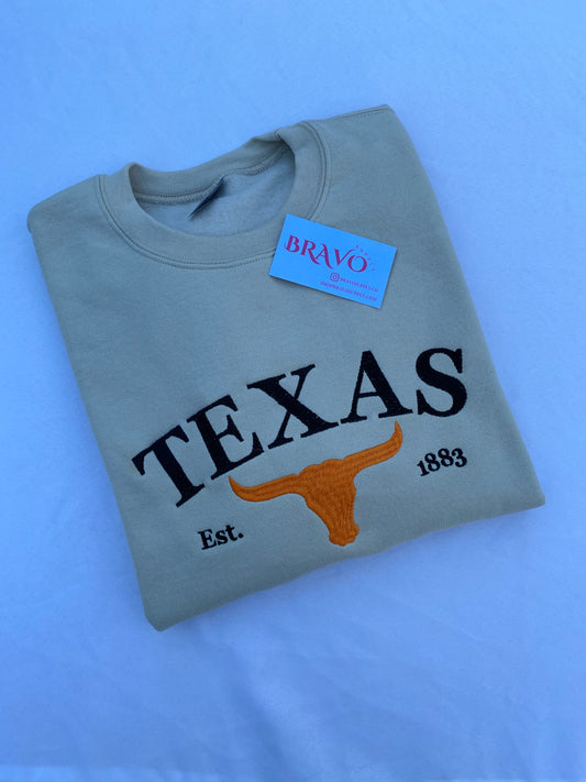Texas embroidered sweatshirt